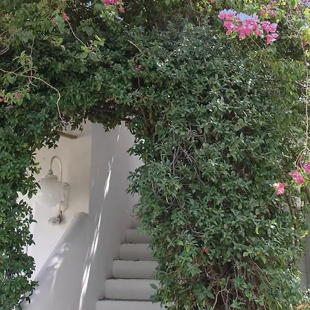 Soleiliosonne, Haus Paris 에르미오니